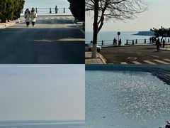 -小麦岛公园