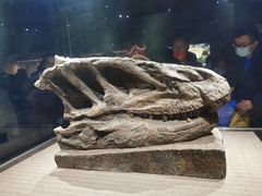 -自贡恐龙博物馆