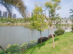 -枫香湖儿童公园