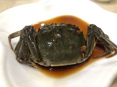 -红灯笼龙凤饭店(宁波老字号店)