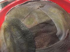 -二荆条·蜀鲜汇城市森林火锅