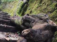 -九峰山