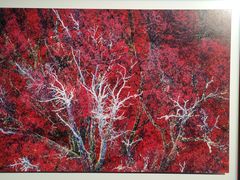 -罗红摄影艺术馆