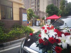 -蚂蚁婚车
