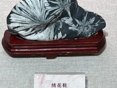 -安徽省地质博物馆