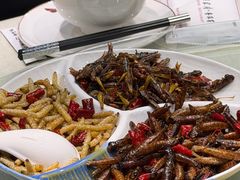 -银生食府·普洱菜(金星店)