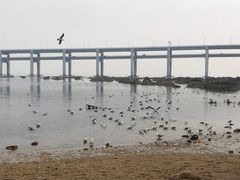 -黑石礁公园