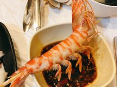 -鲜入围煮花胶鸡海鲜火锅