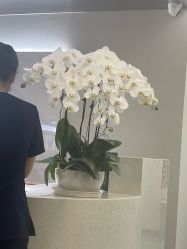 -北京画美医疗美容医院
