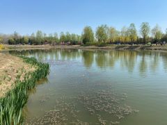 -东郊湿地公园