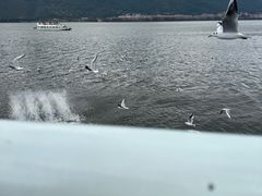 -海埂大坝