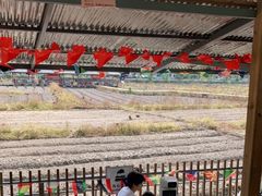 -红山村