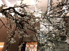 -梅花境(万科店)