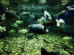 -成都浩海立方海洋公园