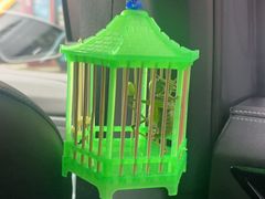 -苏州市皮市街花鸟工艺品市场