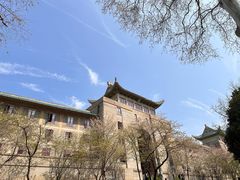 -武汉大学-樱园