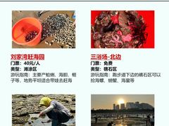 -巧克力渔家.小船海鲜胶东菜(万平口店)