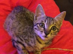 -在路上酒吧(大理古城店)