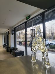 -付军剪艺JF ProSalon