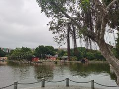 -公园茶楼粤式点心
