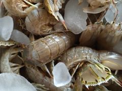 -川骄海鲜自助(河东店)