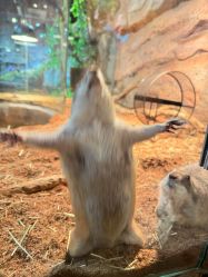 -Zoolung Zoolung动物主题公园(海信广场店)