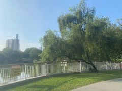 -人民公园(罗湖区)