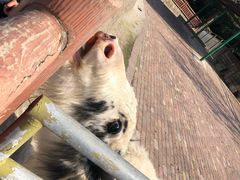 -无锡动物园·太湖欢乐园