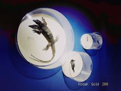 -中国（海南）南海博物馆