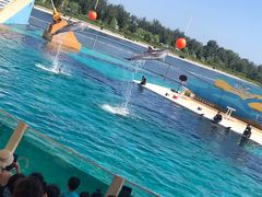 -秦皇岛乐岛海洋王国