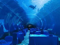 -海棠湾洲际-涛·海底餐厅·美人鱼·自助餐·海底隧道