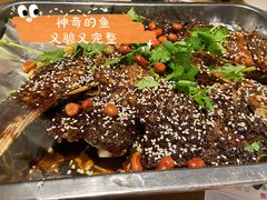 奇滋烤鱼-奇滋豆味(南十四道街店)