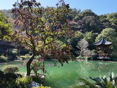 -云溪植物园