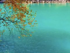 -叠溪松坪沟景区