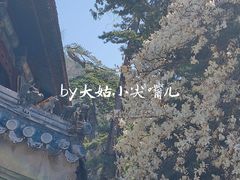 -潭柘寺景区