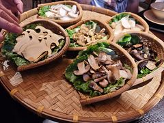 -滇野云南野生菌餐厅(陕西南路店)