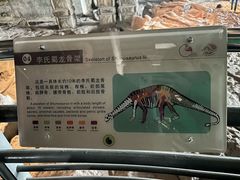 -自贡恐龙博物馆