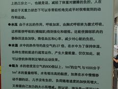 -七宝中学游泳馆