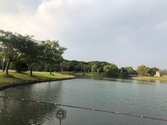 -上海佘山世茂艾美酒店
