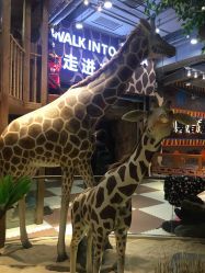 -鲁比猴非洲探索部落(喜盈门店)