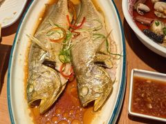 -波螺油子青岛本帮菜(银座店)