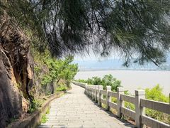 -北岐滩涂