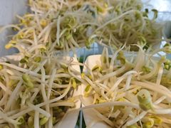 黄豆芽-大厨房火锅