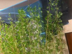 -新紫霞养生·影院足道·SPA(金山区店)