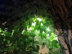 -盒马鲜生(新都心店)