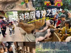 -长鹿旅游休博园
