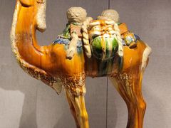 -四川宋瓷博物馆