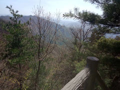-王顺山国家森林公园