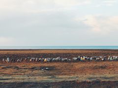 -托素湖高原生态旅游景区(柯鲁诺尔村店)