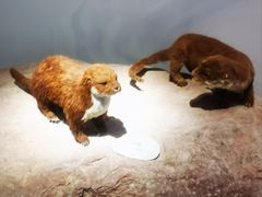 -中国湿地博物馆